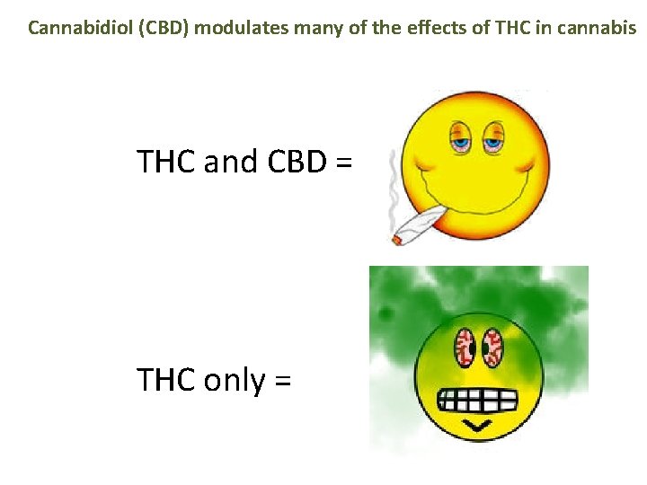 Cannabidiol (CBD) modulates many of the effects of THC in cannabis THC and CBD
