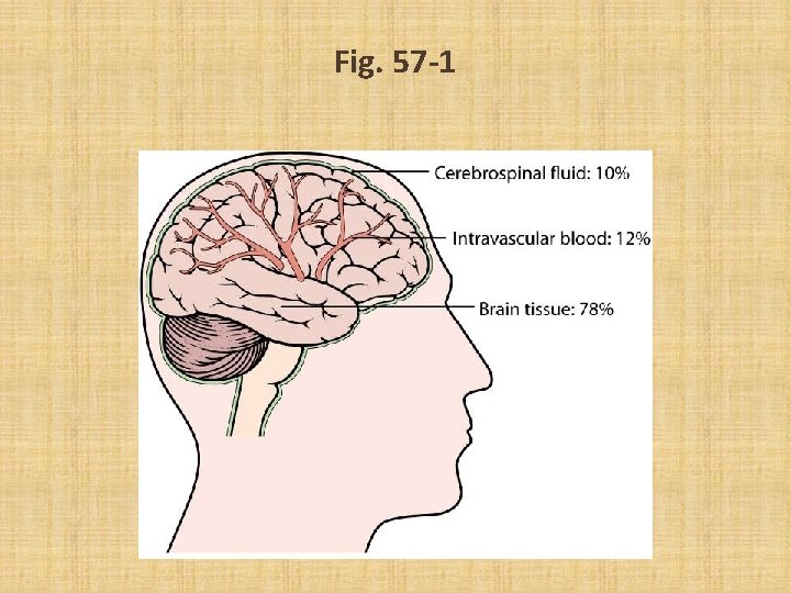 Fig. 57 -1 