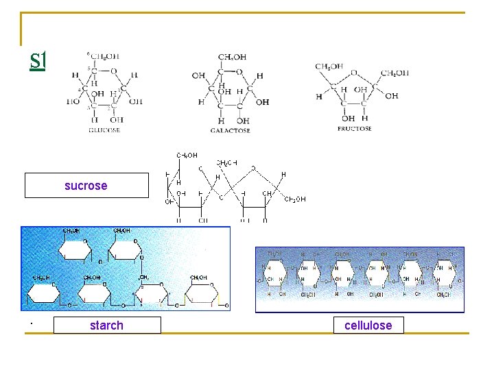 stuctures sucrose . starch cellulose 