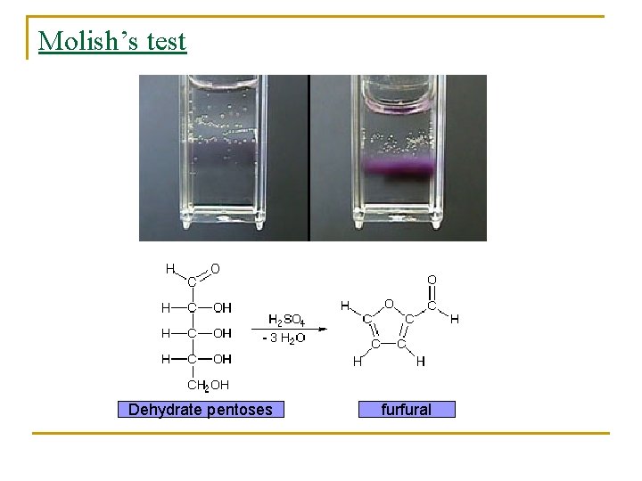 Molish’s test Dehydrate pentoses furfural 