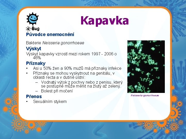 Kapavka Původce onemocnění Bakterie Neisseria gonorrhoeae Výskyt kapavky vzrostl mezi rokem 1997 - 2006