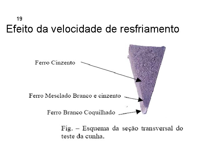 5. 19 Ferros Fundidos Efeito da velocidade de resfriamento 