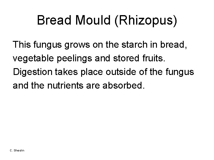 Bread Mould (Rhizopus) This fungus grows on the starch in bread, vegetable peelings and