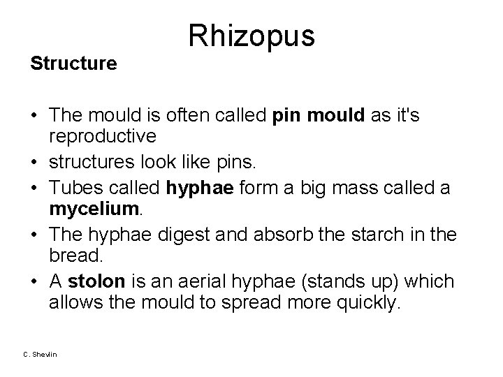 Structure Rhizopus • The mould is often called pin mould as it's reproductive •