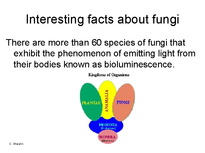 Interesting facts about fungi There are more than 60 species of fungi that exhibit