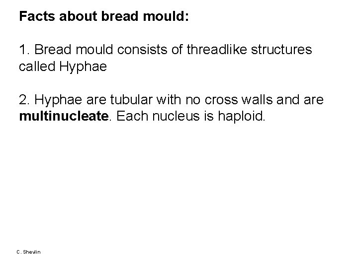 Facts about bread mould: 1. Bread mould consists of threadlike structures called Hyphae 2.