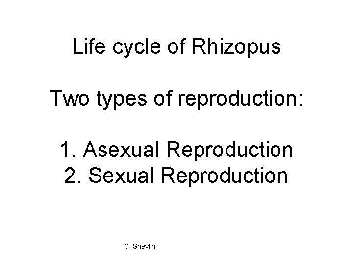 Life cycle of Rhizopus Two types of reproduction: 1. Asexual Reproduction 2. Sexual Reproduction