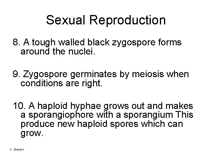 Sexual Reproduction 8. A tough walled black zygospore forms around the nuclei. 9. Zygospore Sexual Reproduction 8. A tough walled black zygospore forms around the nuclei. 9. Zygospore