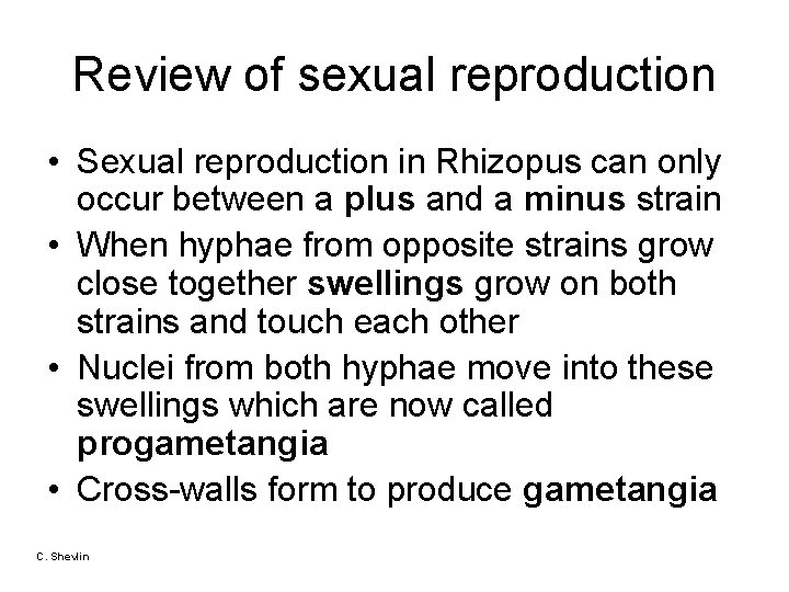 Review of sexual reproduction • Sexual reproduction in Rhizopus can only occur between a