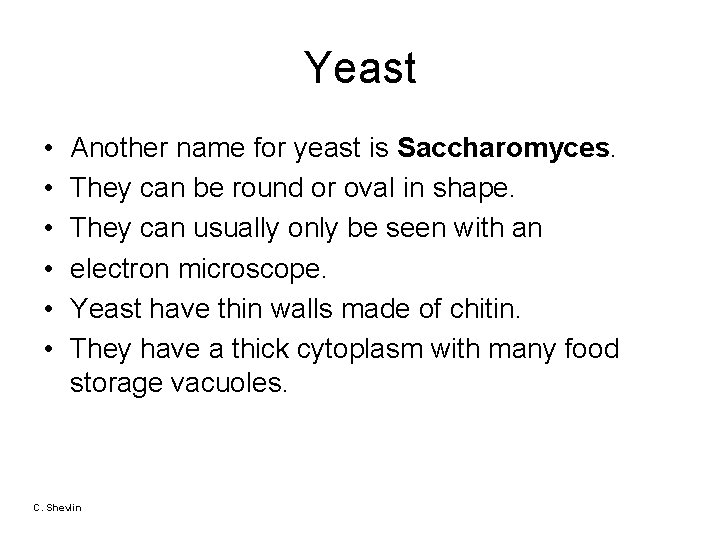 Yeast • • • Another name for yeast is Saccharomyces. They can be round