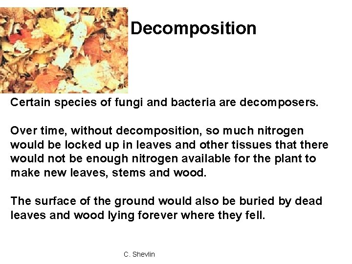 Decomposition Certain species of fungi and bacteria are decomposers. Over time, without decomposition, so Decomposition Certain species of fungi and bacteria are decomposers. Over time, without decomposition, so