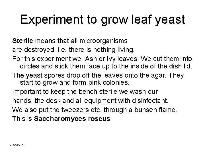 Experiment to grow leaf yeast Sterile means that all microorganisms are destroyed. i. e.