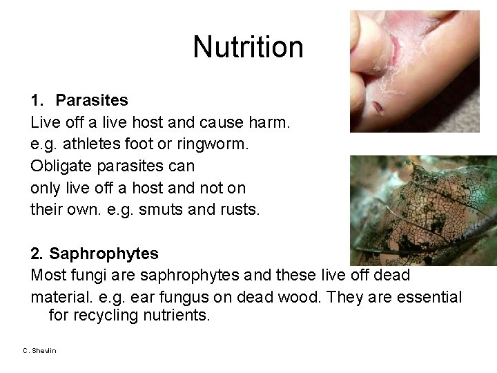 Nutrition 1. Parasites Live off a live host and cause harm. e. g. athletes