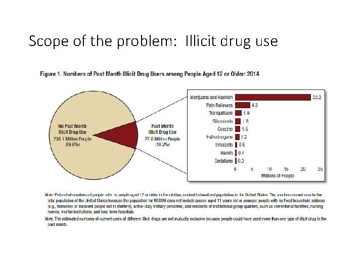 Scope of the problem: Illicit drug use 