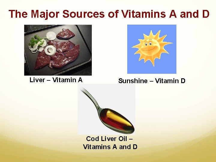 The Major Sources of Vitamins A and D Liver – Vitamin A Sunshine –