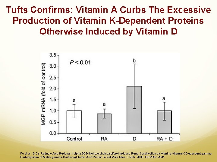 Tufts Confirms: Vitamin A Curbs The Excessive Production of Vitamin K-Dependent Proteins Otherwise Induced