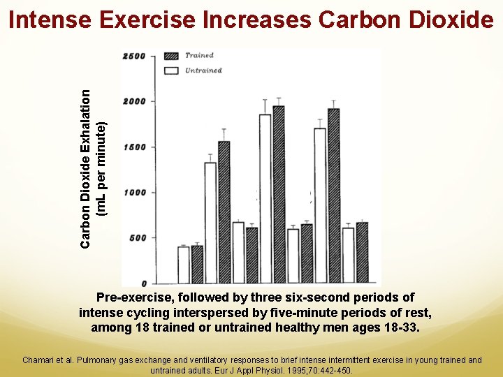 Carbon Dioxide Exhalation (m. L per minute) Intense Exercise Increases Carbon Dioxide Pre-exercise, followed