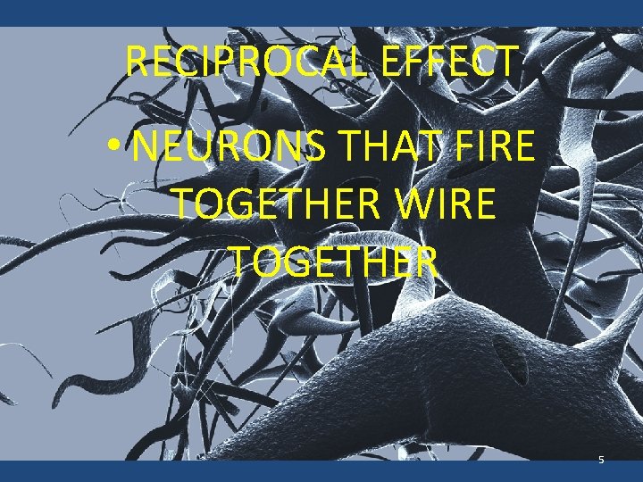 RECIPROCAL EFFECT • NEURONS THAT FIRE TOGETHER WIRE TOGETHER 5 