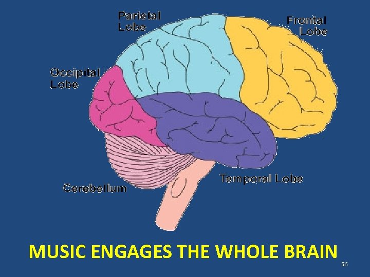 MUSIC ENGAGES THE WHOLE BRAIN 56 