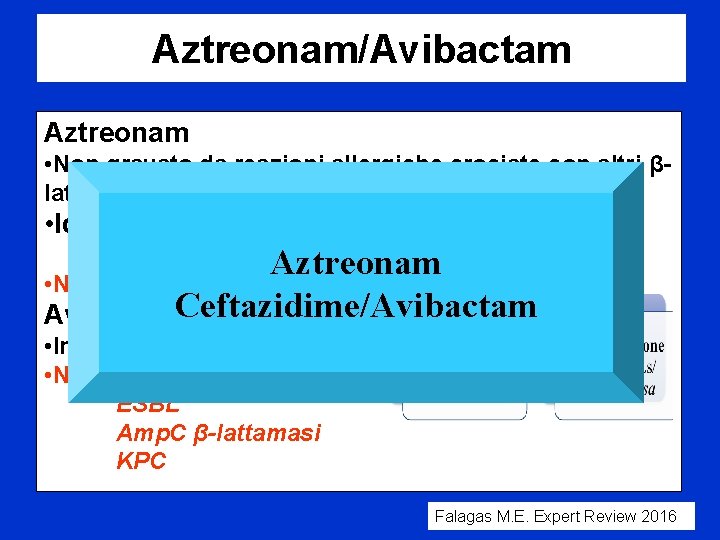 Aztreonam/Avibactam Aztreonam • Non gravato da reazioni allergiche crociate con altri βlattamici (eccetto ceftazidime)