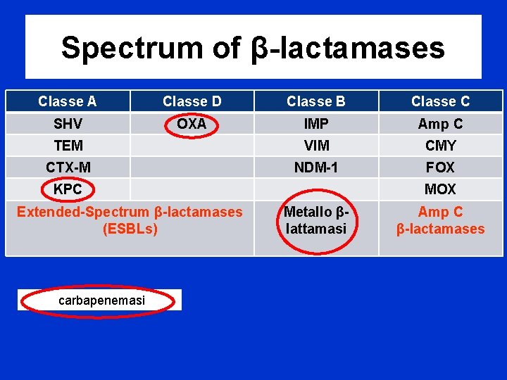 Spectrum of β-lactamases Classe A Classe D Classe B Classe C SHV OXA IMP