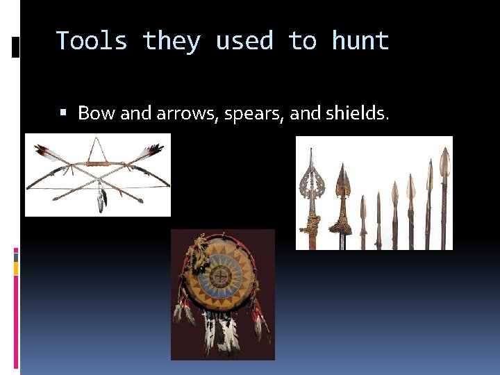Tools they used to hunt Bow and arrows, spears, and shields. 