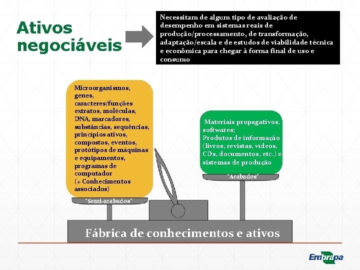 Ativos negociáveis Microorganismos, genes, caracteres/funções extratos, moléculas, DNA, marcadores, substâncias, sequências, princípios ativos, compostos,