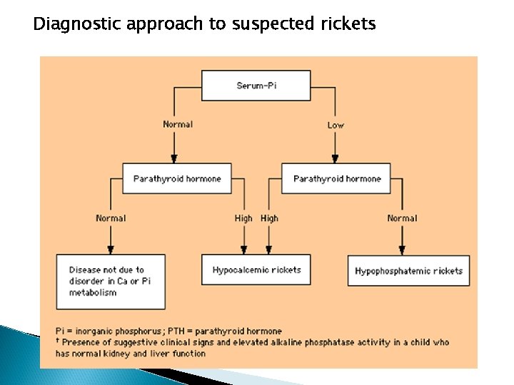 Diagnostic approach to suspected rickets 