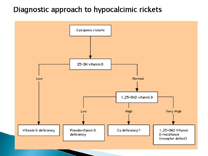 Diagnostic approach to hypocalcimic rickets 