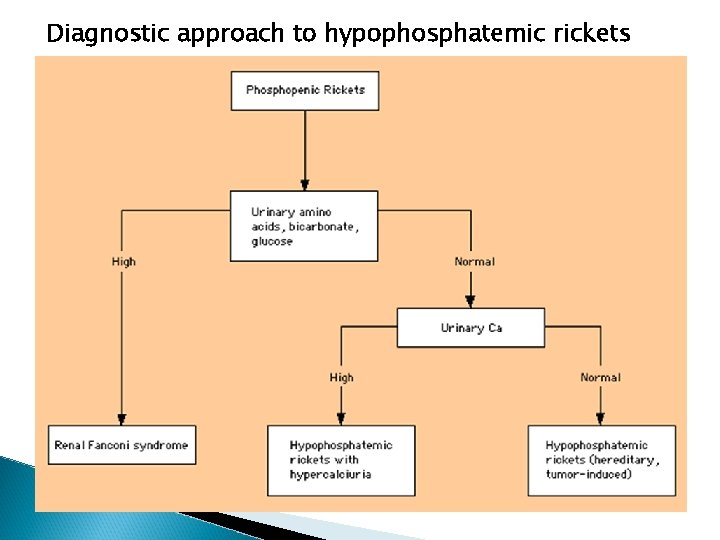 Diagnostic approach to hypophosphatemic rickets 