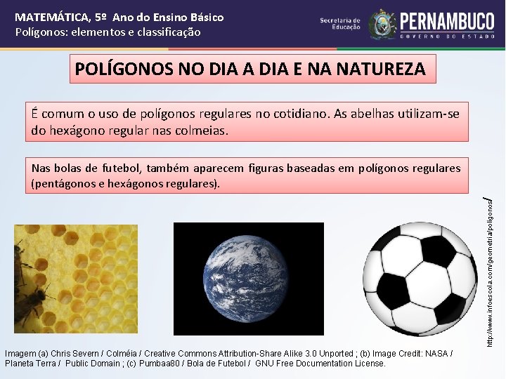 MATEMÁTICA, 5º Ano do Ensino Básico Polígonos: elementos e classificação POLÍGONOS NO DIA A