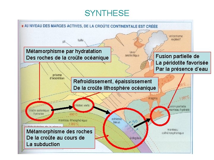 SYNTHESE Métamorphisme par hydratation Des roches de la croûte océanique Fusion partielle de La