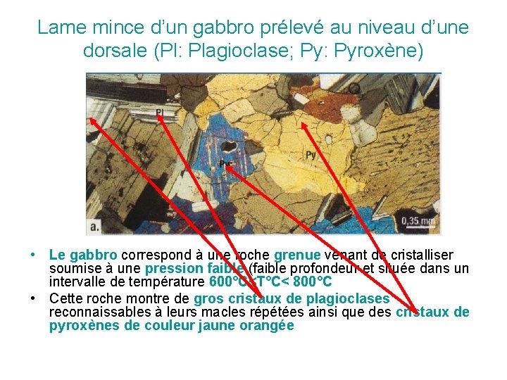 Lame mince d’un gabbro prélevé au niveau d’une dorsale (Pl: Plagioclase; Py: Pyroxène) •