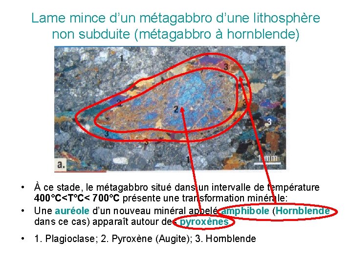 Lame mince d’un métagabbro d’une lithosphère non subduite (métagabbro à hornblende) • À ce