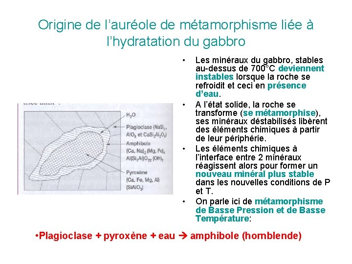 Origine de l’auréole de métamorphisme liée à l’hydratation du gabbro • • Les minéraux