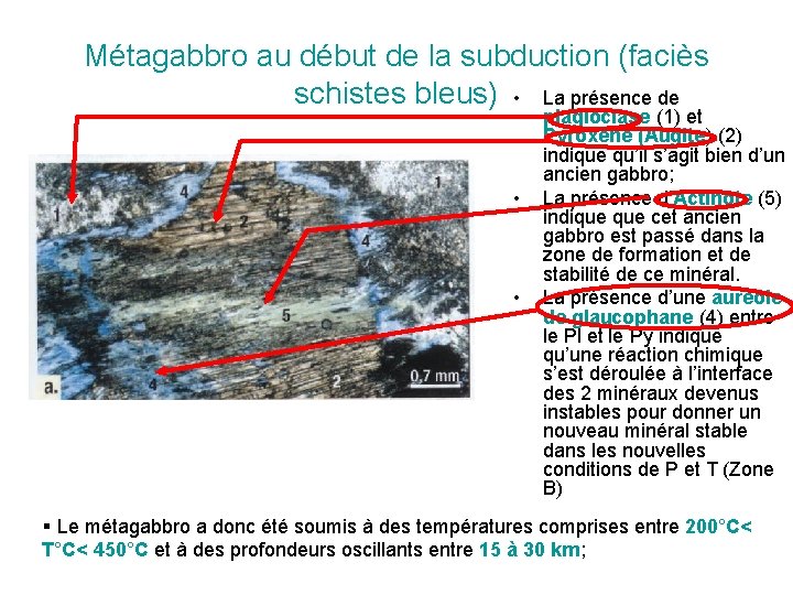 Métagabbro au début de la subduction (faciès schistes bleus) • La présence de •