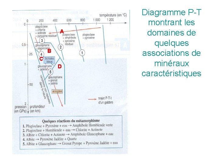 A B C D Diagramme P-T montrant les domaines de quelques associations de minéraux