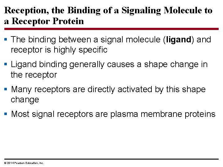 Reception, the Binding of a Signaling Molecule to a Receptor Protein § The binding