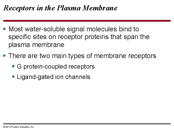 Receptors in the Plasma Membrane § Most water-soluble signal molecules bind to specific sites