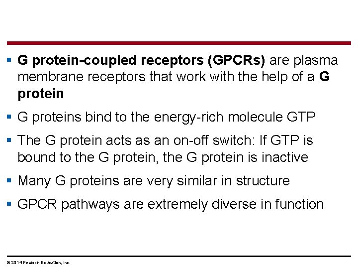 § G protein-coupled receptors (GPCRs) are plasma membrane receptors that work with the help