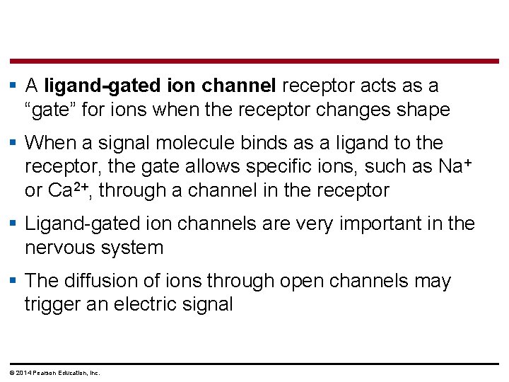 § A ligand-gated ion channel receptor acts as a “gate” for ions when the