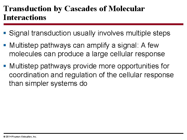 Transduction by Cascades of Molecular Interactions § Signal transduction usually involves multiple steps §