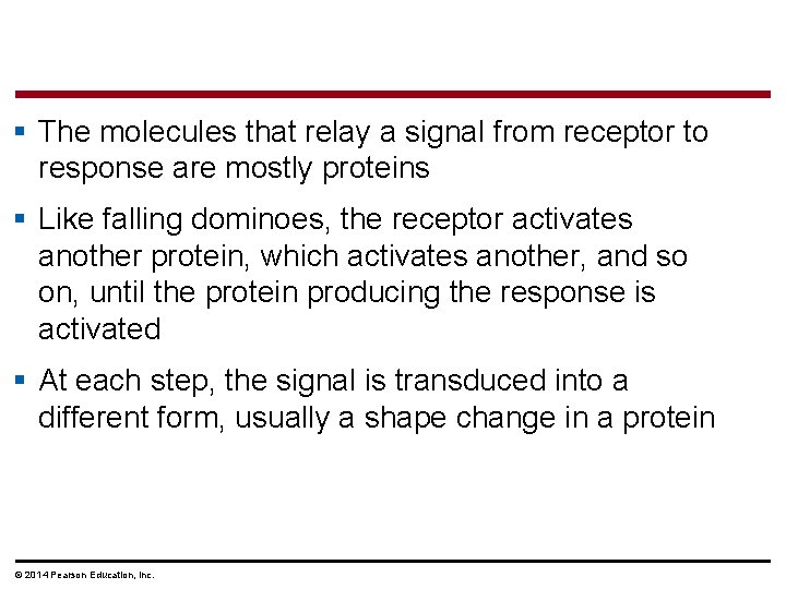 § The molecules that relay a signal from receptor to response are mostly proteins