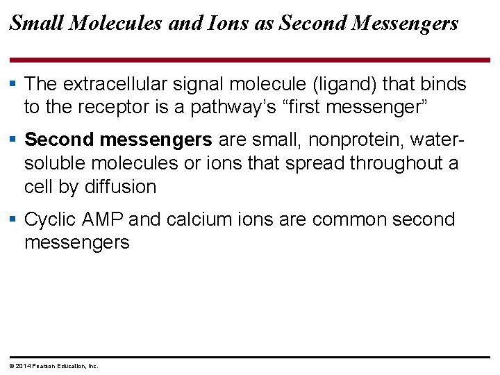 Small Molecules and Ions as Second Messengers § The extracellular signal molecule (ligand) that