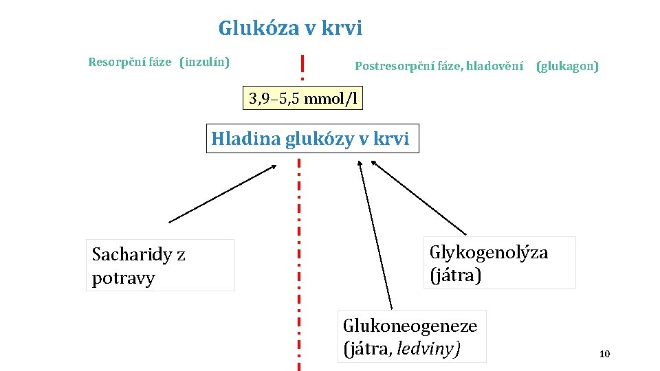 Glukóza v krvi Resorpční fáze (inzulín) Postresorpční fáze, hladovění (glukagon) 3, 9– 5, 5