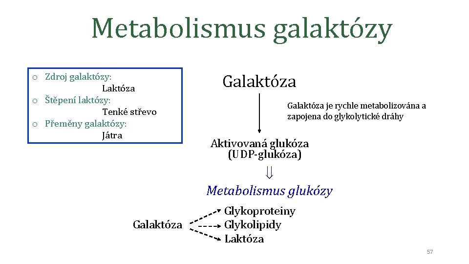 Metabolismus galaktózy o Zdroj galaktózy: Laktóza o Štěpení laktózy: Tenké střevo o Přeměny galaktózy: