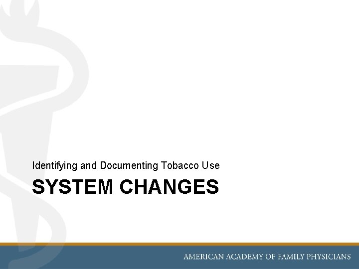 Identifying and Documenting Tobacco Use SYSTEM CHANGES 