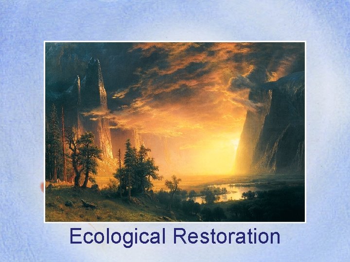 Ecological Restoration 