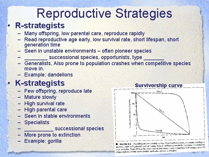 Reproductive Strategies • R-strategists – Many offspring, low parental care, reproduce rapidly – Read