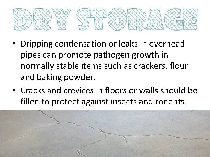  • Dripping condensation or leaks in overhead pipes can promote pathogen growth in